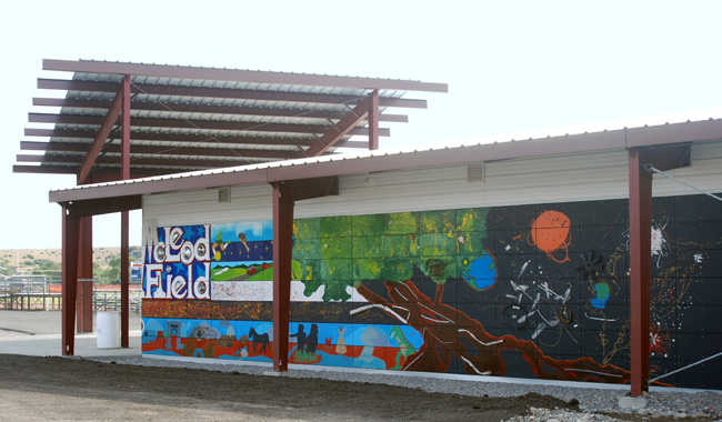 Ranger Stadium Art Project